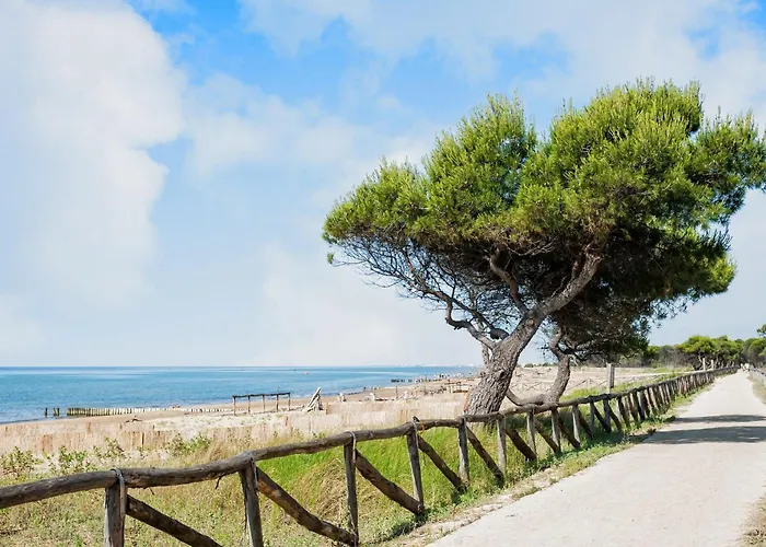 公寓 Bright Flat With Garden And Pool